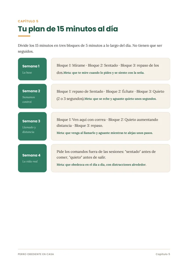 Página real con el plan de cuatro semanas